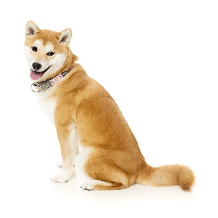 15% OFF: FuzzYard Sushiba Dog Collar