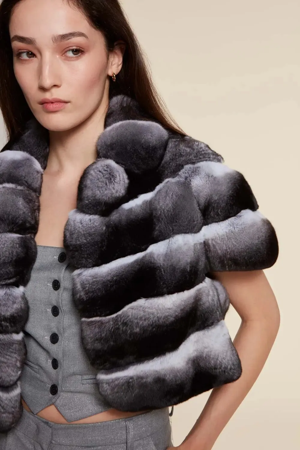 Chinchilla bolero