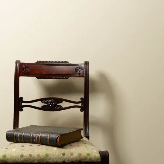 Creme Caramel Wall Paint