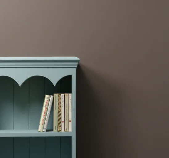 Donkey Derby Wall Paint