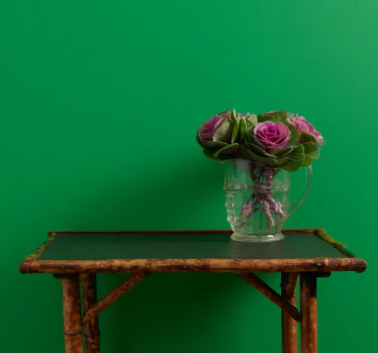 Emerald Isle Wall Paint