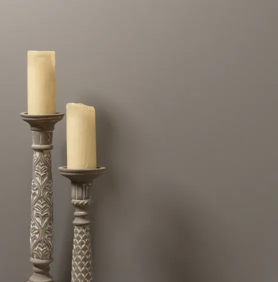 Goose Wall Paint