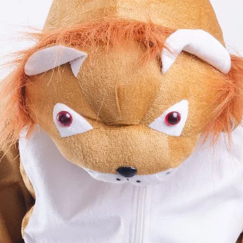 Lion Costume for boys and Girls