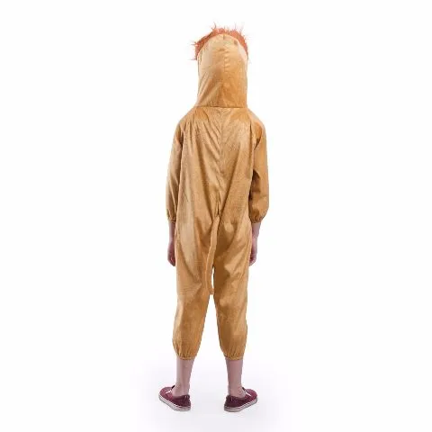 Lion Costume for boys and Girls