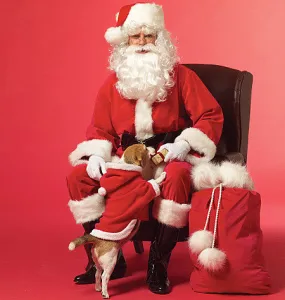 McCall's 5550 Misses'/Men's Santa Costumes and Bag Pattern