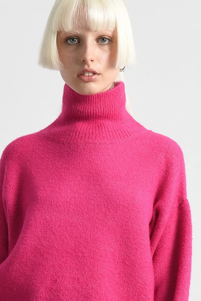 Molly Bracken Tina Turtleneck Sweater