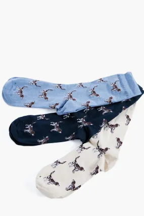 Navy Pointer Dog Socks Gift Box