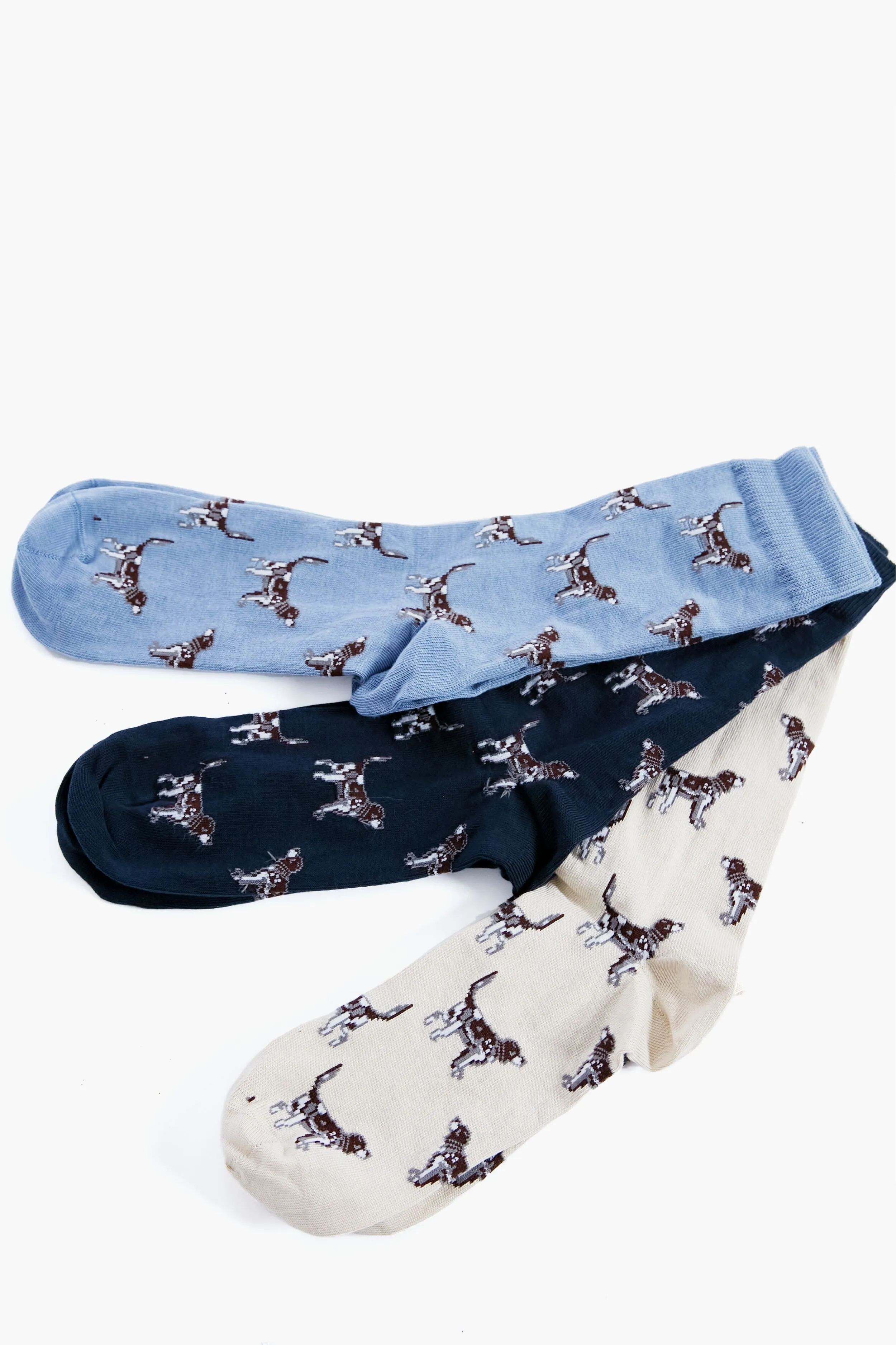 Navy Pointer Dog Socks Gift Box