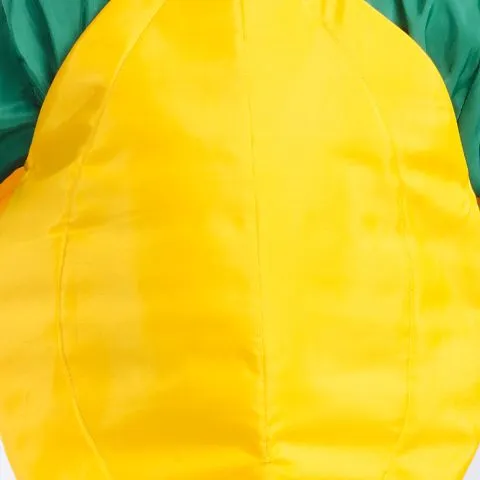 Papaya fruit costume for Girls and Boys for kids fancydress competitions