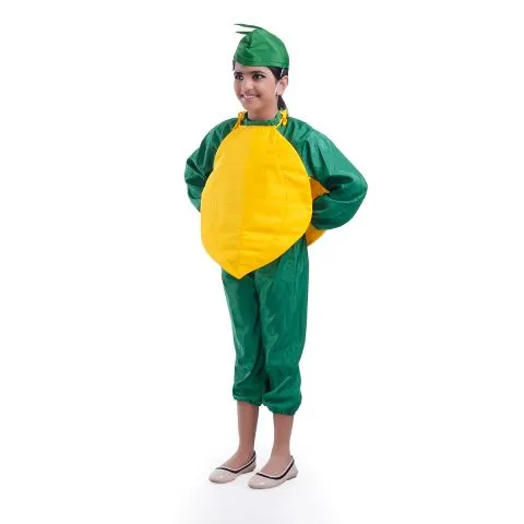 Papaya fruit costume for Girls and Boys for kids fancydress competitions