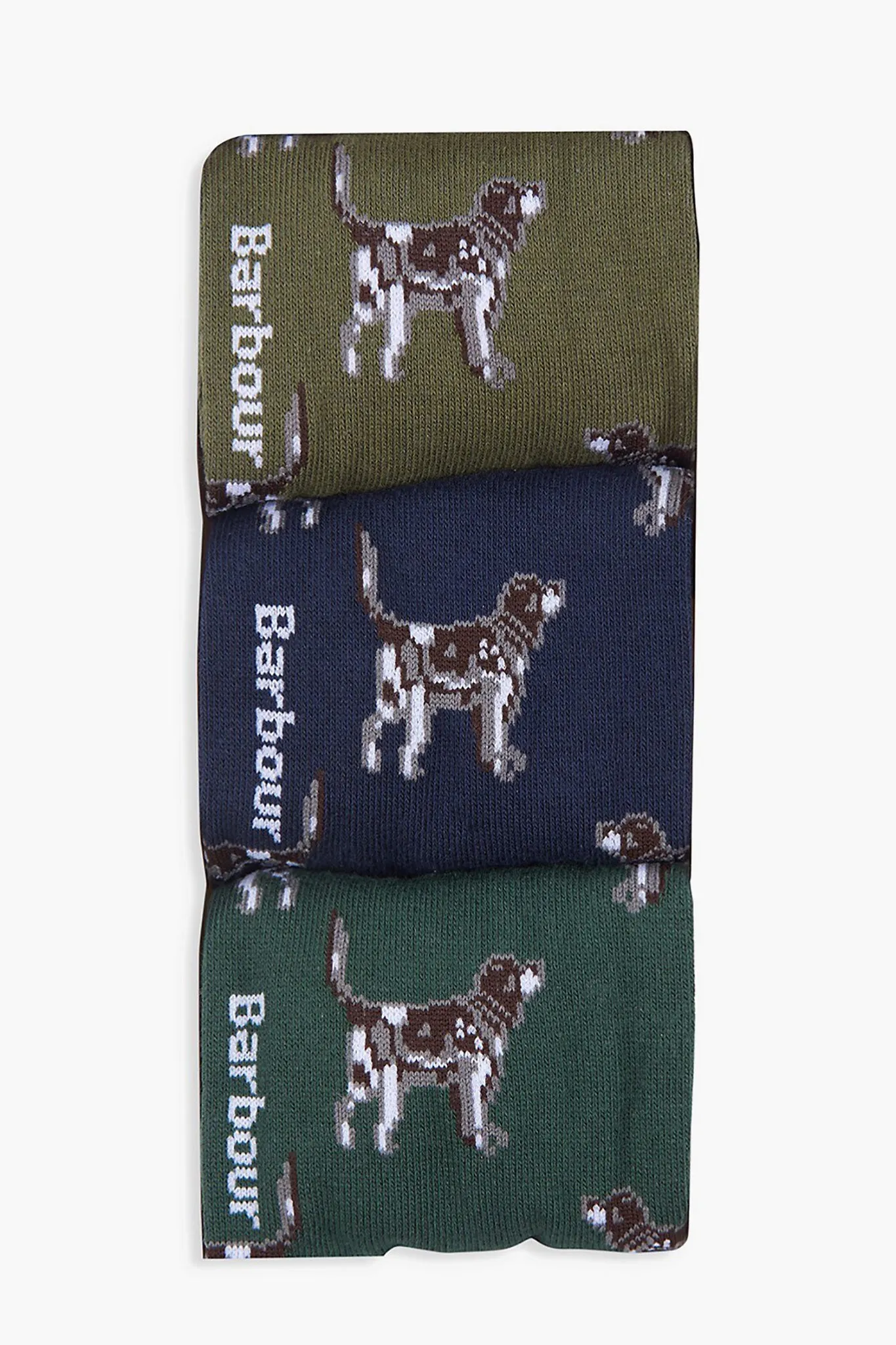 Pointer Dog Socks Gift Box