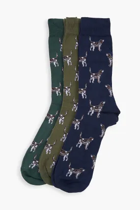 Pointer Dog Socks Gift Box