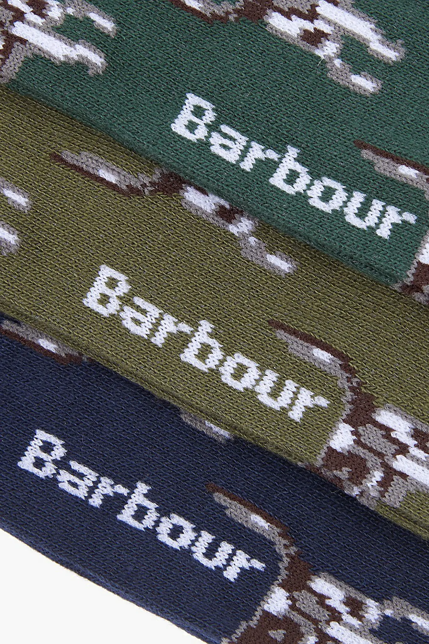 Pointer Dog Socks Gift Box