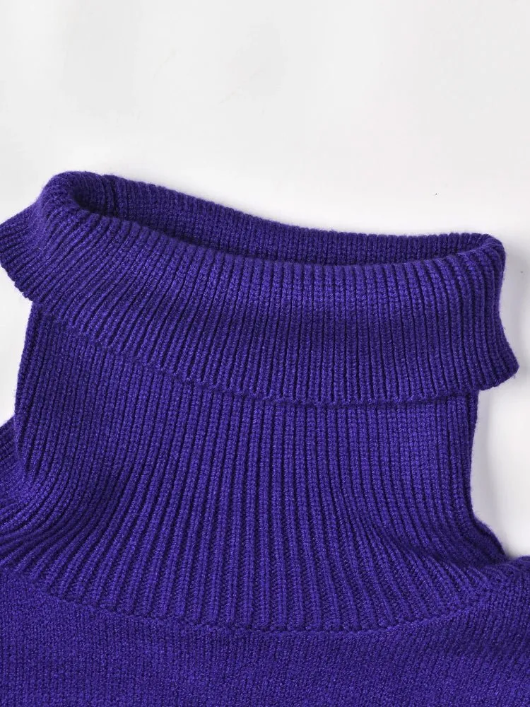 Pre Order:  Purple Turtleneck Loose Knit Sweater