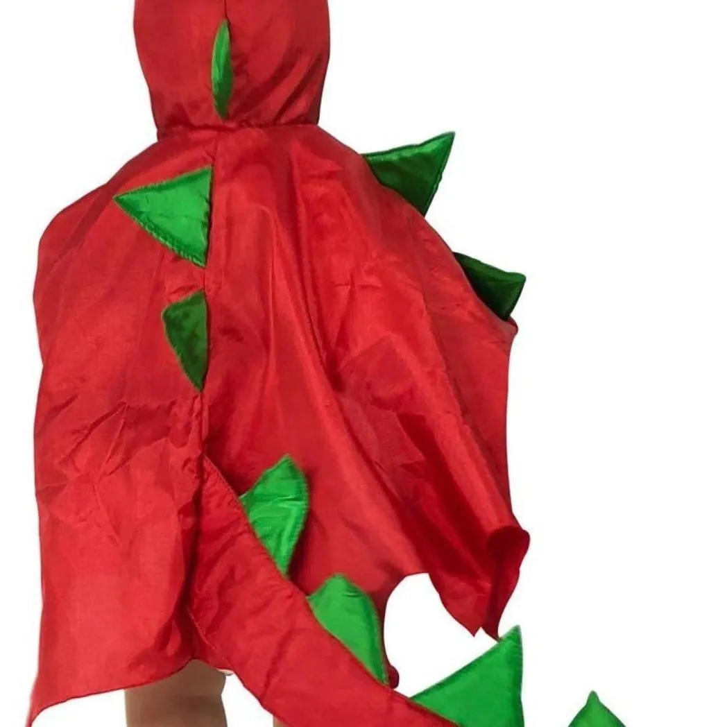 Toddler Dragon Cape x 4