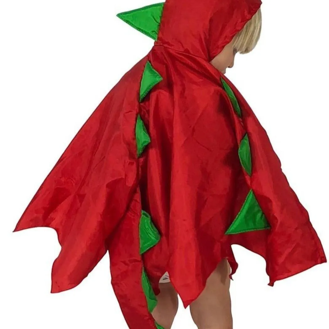 Toddler Dragon Cape x 4