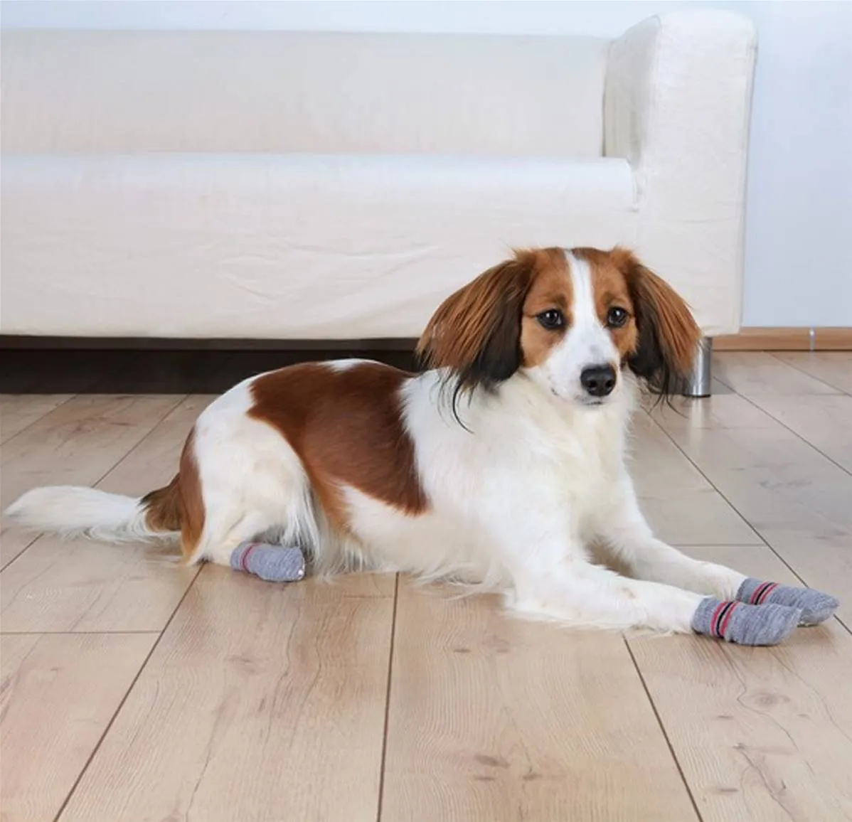 Trixie Non-Slip Dog Socks Grey 2pcs
